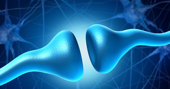 RECONNECTING YOUR NEURAL PATHWAYS <br>TO RESTORE BALANCE